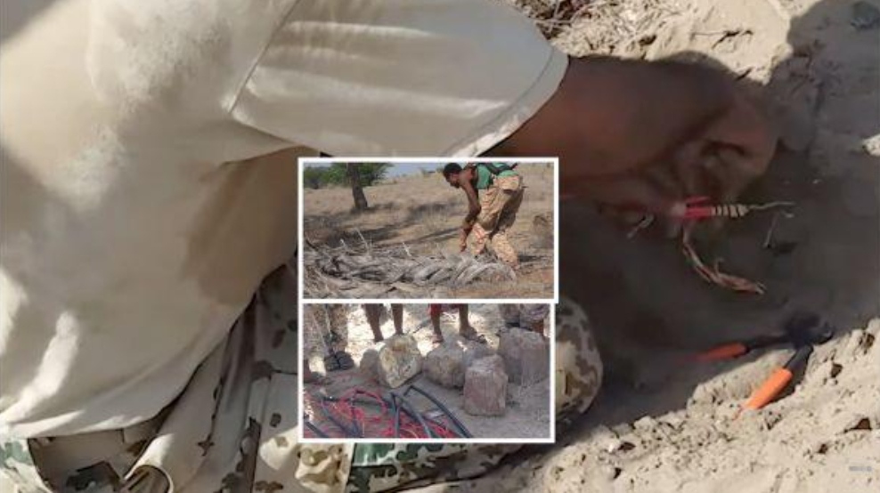 اكتشاف أخطر شبكات الألغام الحوثية مموهة وسط تجمعات سكانية جنوبي الحديدة