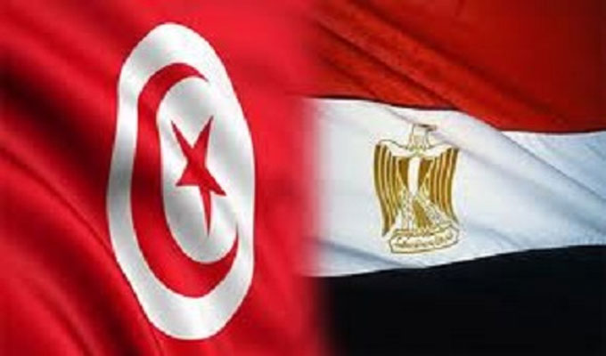  مصر تدعم قرارات الرئيس التونسي: دستورية وتحقق الاستقرار