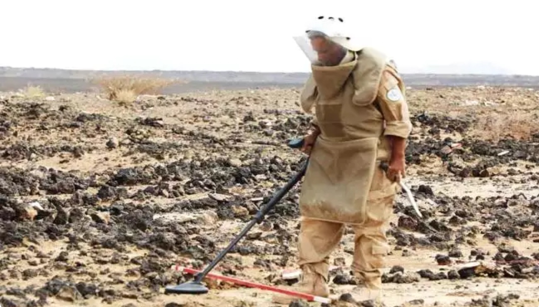 بعد نجاح تحريرها من مليشيا الحوثي هذا ماقام به التحالف اليوم في حرض