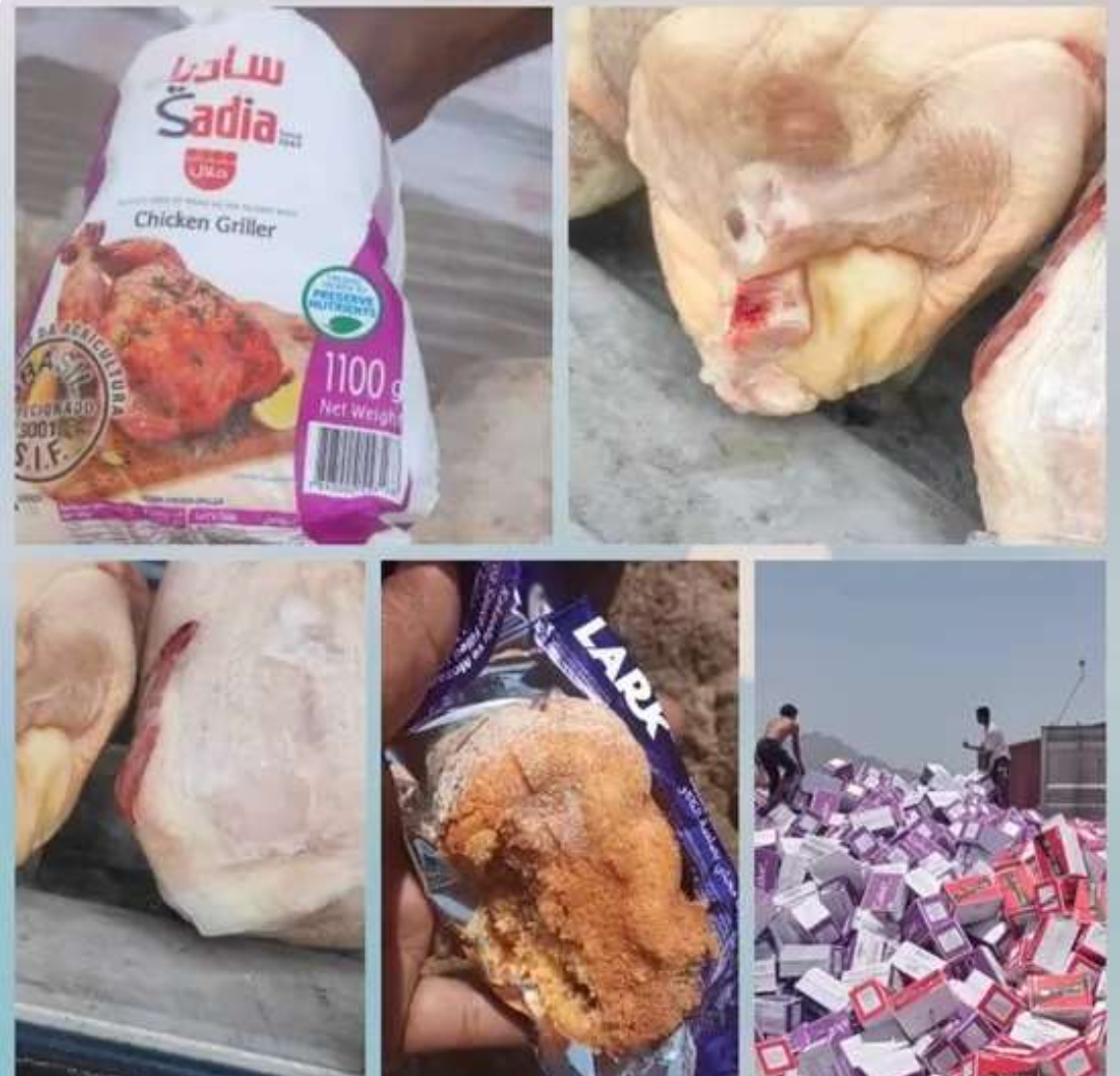 ضبط شحنة دجاج فاسدة في ميناء عدن