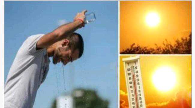 ماذا يحدث للشرايين والقلب في ارتفاع الحرارة.. نصائح مهمة