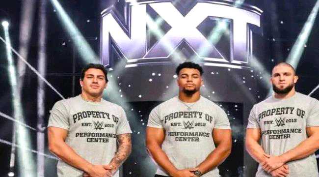 بينهم بطل عربي.. ثلاثي أولمبي ينضم إلى منافسات WWE لمصارعة المحترفين