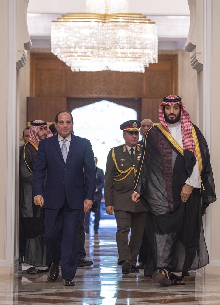 السعودية ومصر تعلنان موقفهما من كافة القضايا اليمنية